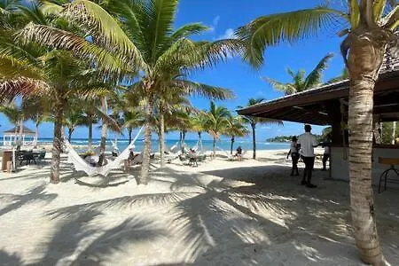 Hospitality Expert Nianna Eden - 7Br Pools Beach Montego Bay Jamaica